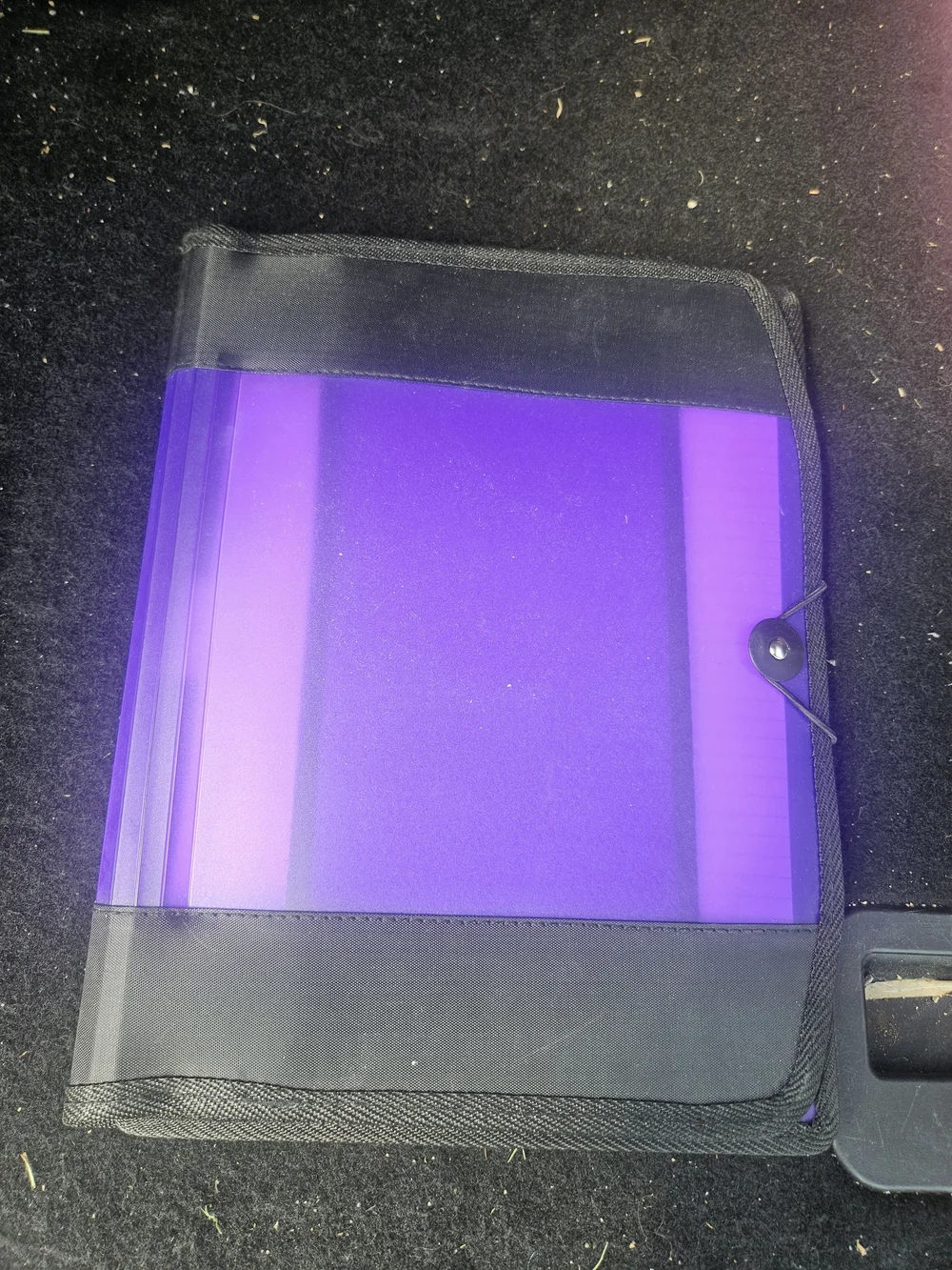 Plastic File Folder with Elastic Closure